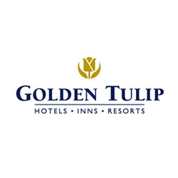 golden-tulip